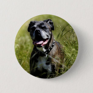 Niedlicher Grashund Button