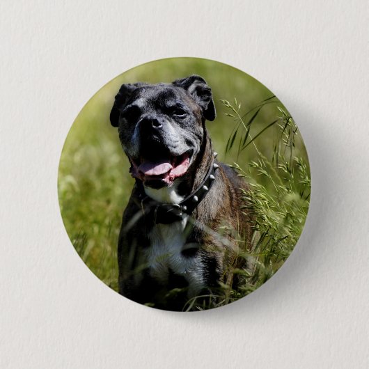 Niedlicher Grashund Button (Vorderseite)