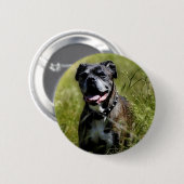 Niedlicher Grashund Button (Vorne & Hinten)
