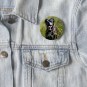 Niedlicher Grashund Button (Beispiel)