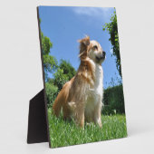 Niedlicher Grashund Fotoplatte (Seite)