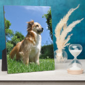 Niedlicher Grashund Fotoplatte (Seite)