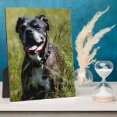 Niedlicher Grashund Fotoplatte (Seite)