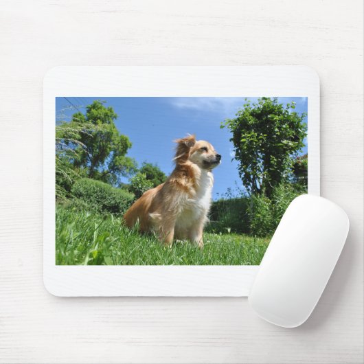 Niedlicher Grashund Mousepad (Mit Mouse)