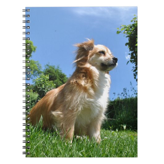 Niedlicher Grashund Notizblock (Vorderseite)