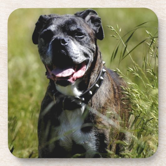 Niedlicher Grashund Untersetzer (Vorderseite)