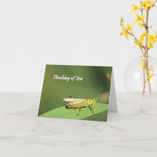 Niedlicher Grasshopper - Blankokarte Karte (Gelbe Blume)