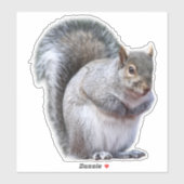 Niedlicher Graue Eichhörnchenaufkleber Aufkleber (Blatt)