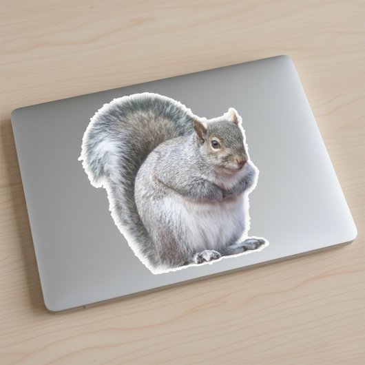 Niedlicher Graue Eichhörnchenaufkleber Aufkleber