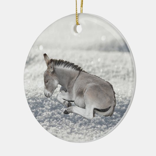 Niedlicher grauer Donkey Foal im Schnee Keramik Ornament (Links)