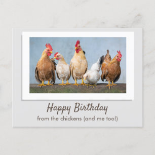 Niedlicher Grauer Geburtstag von den Hühnern Postkarte