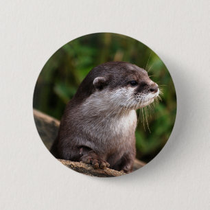 Niedlicher grauer Otter Button