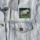 Niedlicher Greedy Sheep Eating Button (Beispiel)
