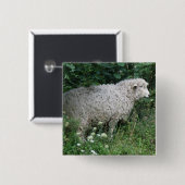 Niedlicher Greedy Sheep Eating Button (Vorne & Hinten)