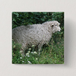 Niedlicher Greedy Sheep Eating Button