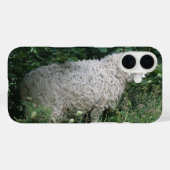 Niedlicher Greedy Sheep iPhone Case (Rückseite (Horizontal))
