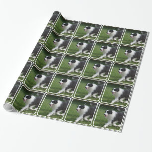 Niedlicher Grenzcollie-Welpe Geschenkpapier