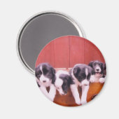 Niedlicher Grenzcollie-Welpen-Magnet Magnet (Vorderseite/Rückseite)