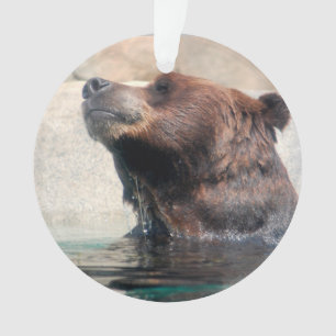 Niedlicher Grizzlybär im Wasser Ornament