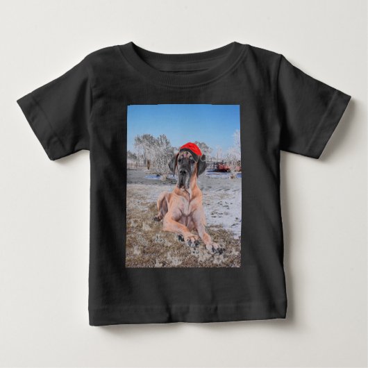 Niedlicher Großer Däne Hund sitzend im Schneehuhhu Baby T-shirt (Vorderseite)