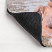 Niedlicher Großer Däne Hund sitzend im Schneehuhhu Mousepad (Ecke)