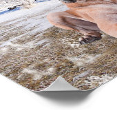 Niedlicher Großer Däne Hund sitzend im Schneehuhhu Poster (Ecke)