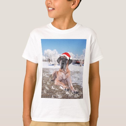 Niedlicher Großer Däne Hund sitzend im Schneehuhhu T-Shirt (Vorderseite)