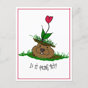 Niedlicher Groundhog auf der Suche nach Frühling Feiertagspostkarte