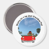 Niedlicher Groundhog in rotem Konvertible Magnet (Vorderseite/Rückseite)