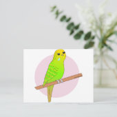 Niedlicher Grüner Budgie Postkarte (Stehend Vorderseite)