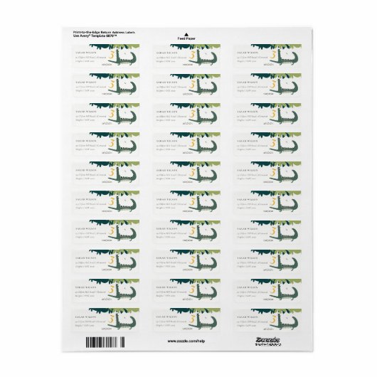 Niedlicher grüner Chomp-Alligator-Sumpfkids-Adress (Vorne)