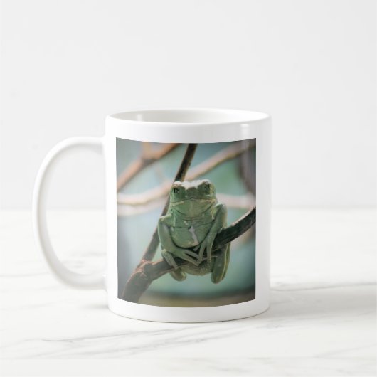 Niedlicher grüner Frosch auf einer Zweigniederlass Kaffeetasse (Links)