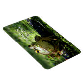Niedlicher grüner Frosch schlägt eine Pose auf dem Magnet (Rechte Seite)