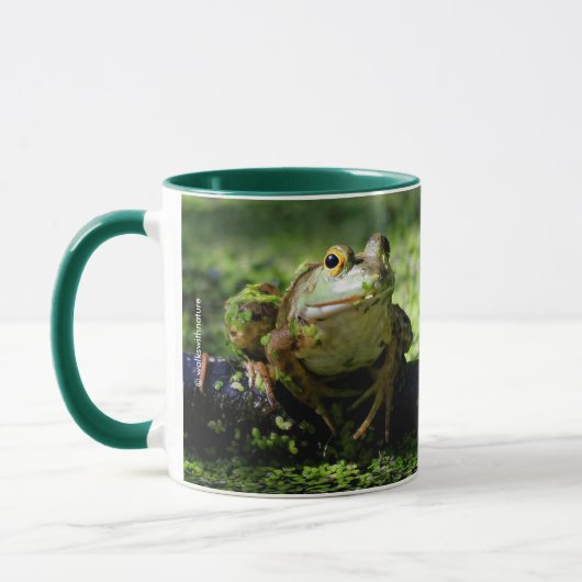 Niedlicher grüner Frosch schlägt eine Pose auf dem Tasse (Links)