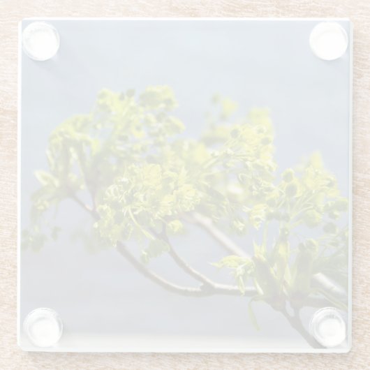 Niedlicher grüner Wind Glasuntersetzer (Rückseite)