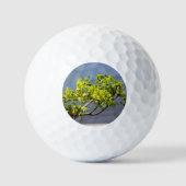 Niedlicher grüner Wind Golfball (Vorderseite)