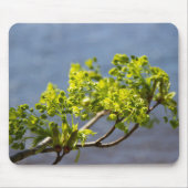 Niedlicher grüner Wind Mousepad (Vorne)