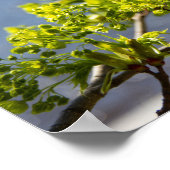 Niedlicher grüner Wind Poster (Ecke)