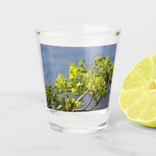 Niedlicher grüner Wind Schnapsglas (Vorderseite)