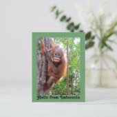 Niedlicher Hallo aus Indonesien Postkarte (Stehend Vorderseite)