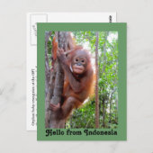 Niedlicher Hallo aus Indonesien Postkarte (Vorne/Hinten)