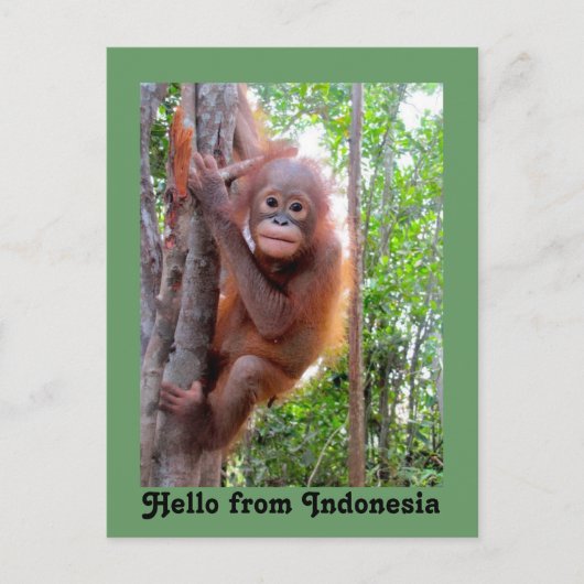 Niedlicher Hallo aus Indonesien Postkarte (Vorderseite)