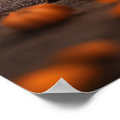 Niedlicher Halloween Rottweiler Welpenhund w Pumpk Poster (Ecke)