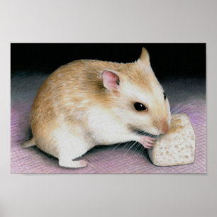 Niedlicher Hamster 18 Poster