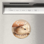 Niedlicher Hamster als guter Hamster Magnet (In Situ (Geschirrspüler))