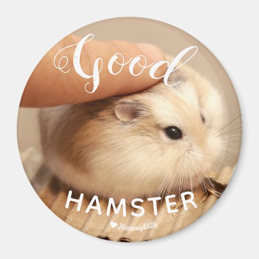 Niedlicher Hamster als guter Hamster Magnet (Vorne)