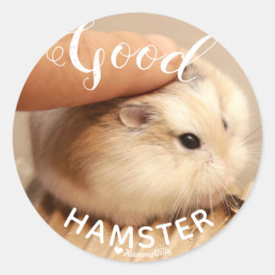 Niedlicher Hamster als guter Hamster Runder Aufkleber