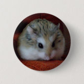 Niedlicher Hamster auf einem Knopf - Hammy Button (Vorderseite)