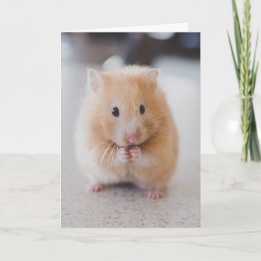 Niedlicher Hamster Karte (Vorderseite)