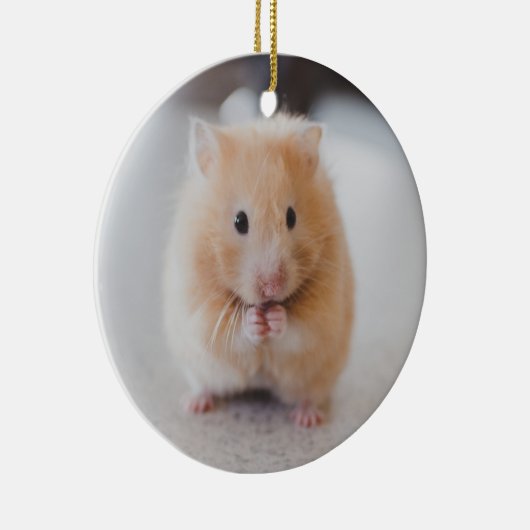 Niedlicher Hamster Keramikornament (Rechts)